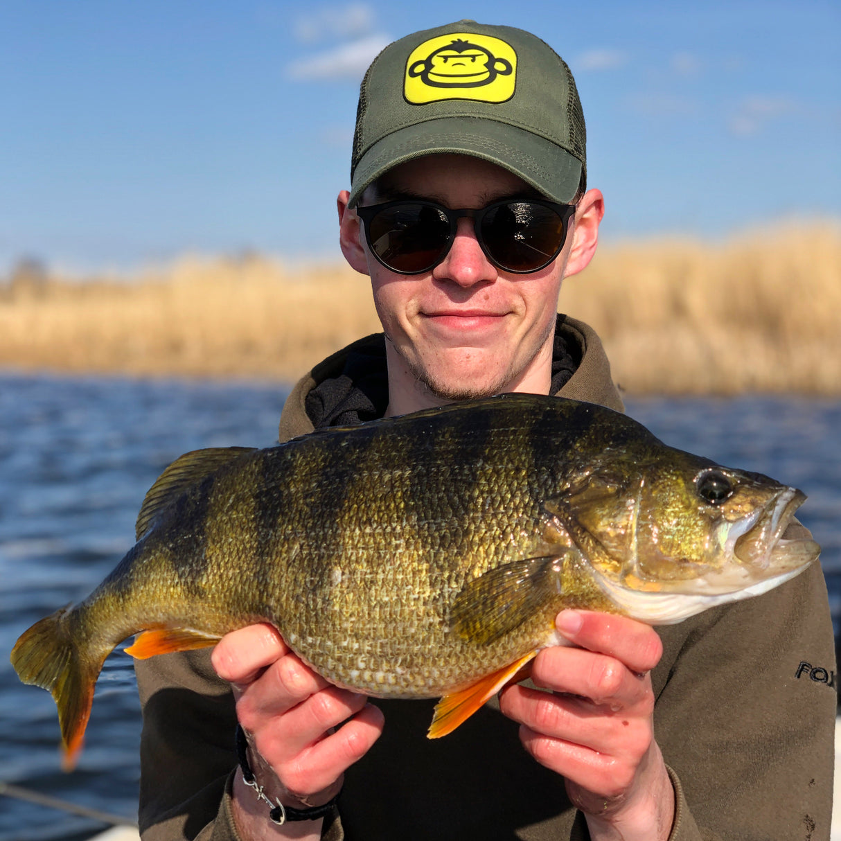 NED ready to fish 8heads 8 worms