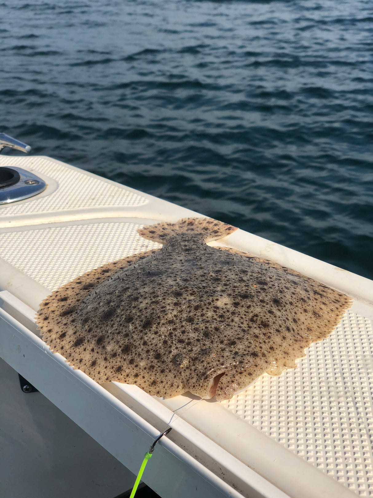 HANDKNUTET HAVSFISKETACKEL VAR/MAKRILL (TAFS)