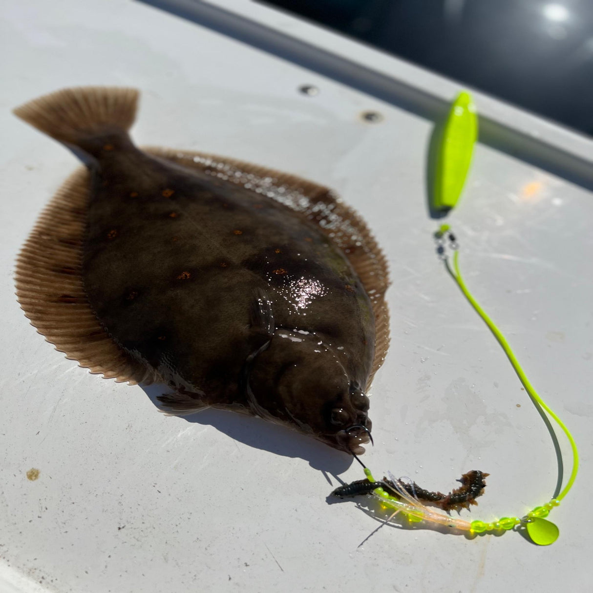 Handknutet Havsfisketackel – Plattfisk Premium